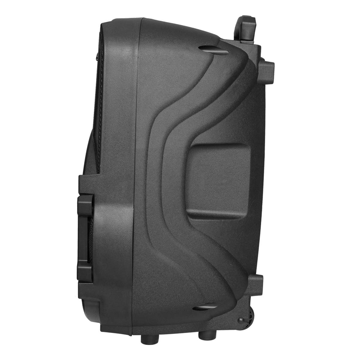 MX 15" Portable multimedia speaker system - Image 4
