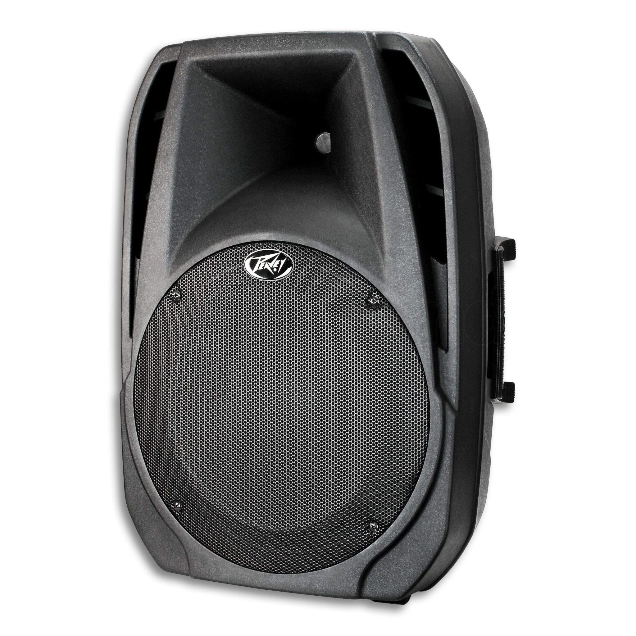 Peavey 12" Two Way Passive Speaker : 300 Watts - Image 3